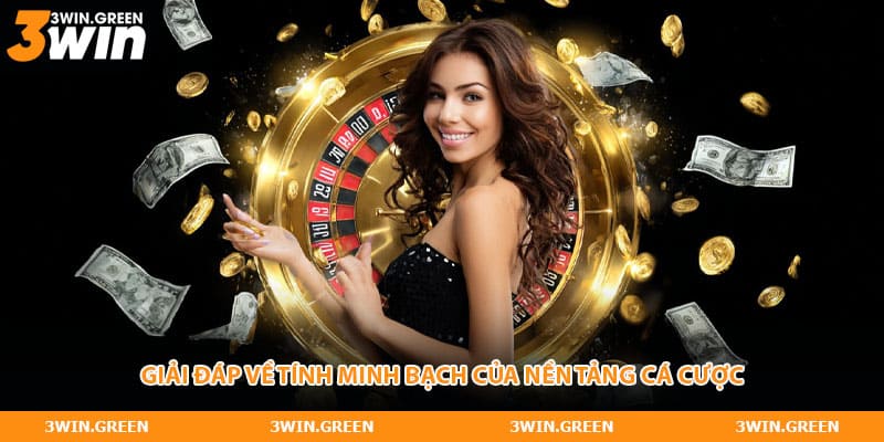 Giải đáp về tính minh bạch của nền tảng cá cược