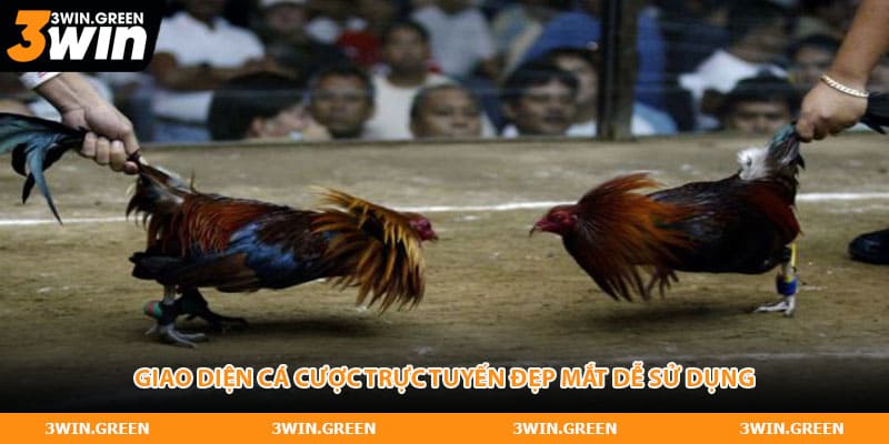 Giao diện cá cược trực tuyến đẹp mắt dễ sử dụng